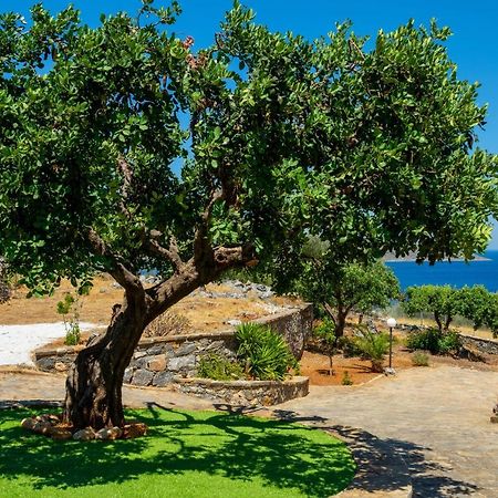 Elounda Anemelia Apartments Exterior foto